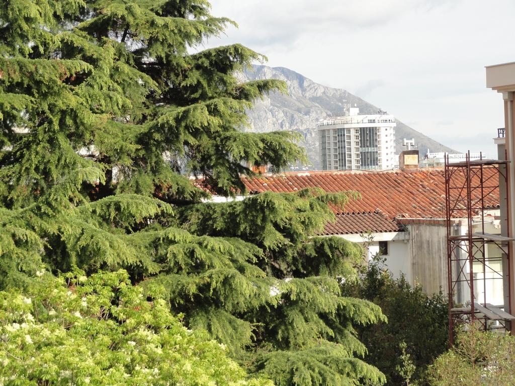 Apartments Pribilovic Μπούντβα Εξωτερικό φωτογραφία