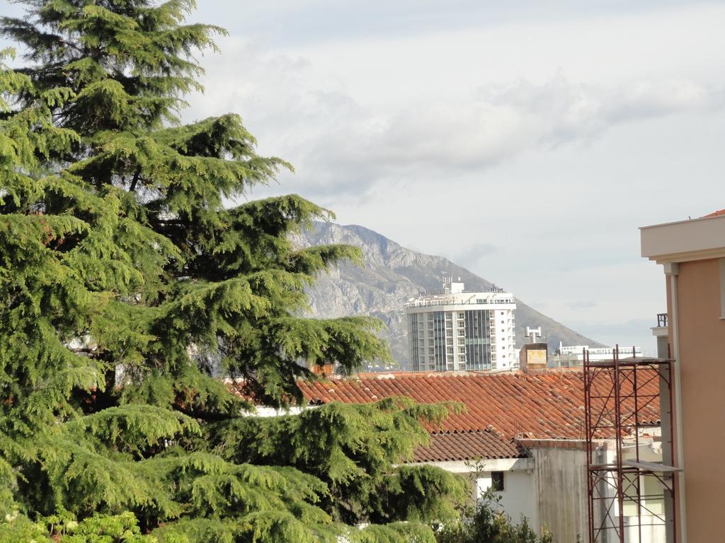 Apartments Pribilovic Μπούντβα Εξωτερικό φωτογραφία