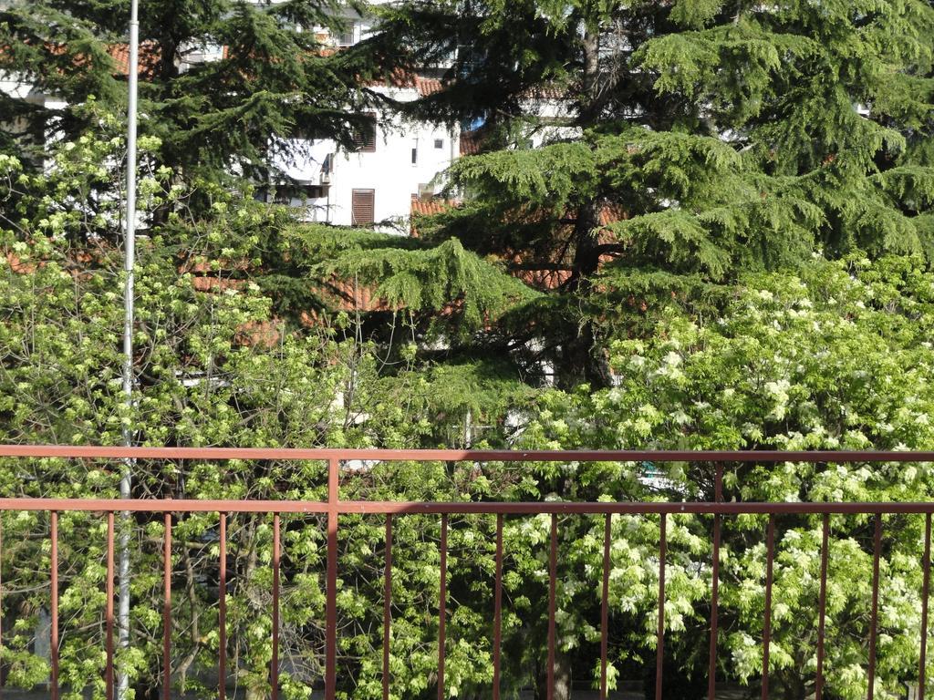 Apartments Pribilovic Μπούντβα Εξωτερικό φωτογραφία